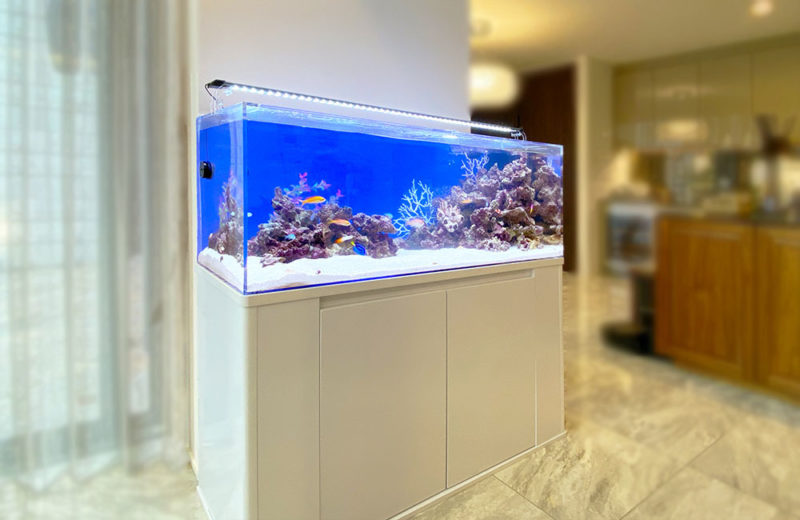個人宅様に120cm海水魚水槽を設置!内装に映える青いマリンアクアリウム 水槽画像5