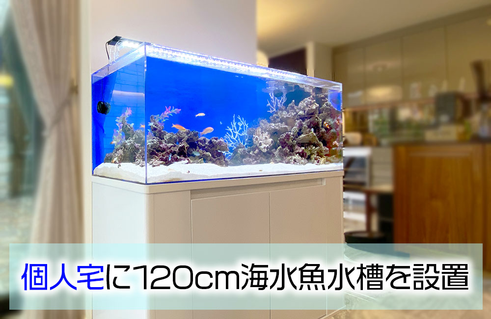 個人宅様に120cm海水魚水槽を設置！内装に映える青いマリンアクアリウム
