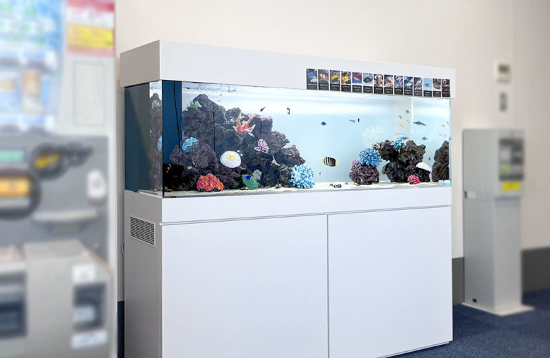 病院に150cm海水魚水槽を設置!海水魚の姿を楽しめる爽やかな水槽 水槽画像5