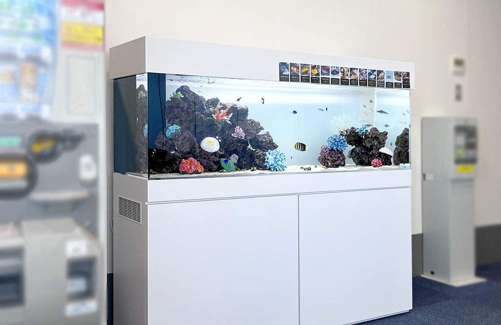 白い水槽台に設置された大型の海水魚用レンタル水槽