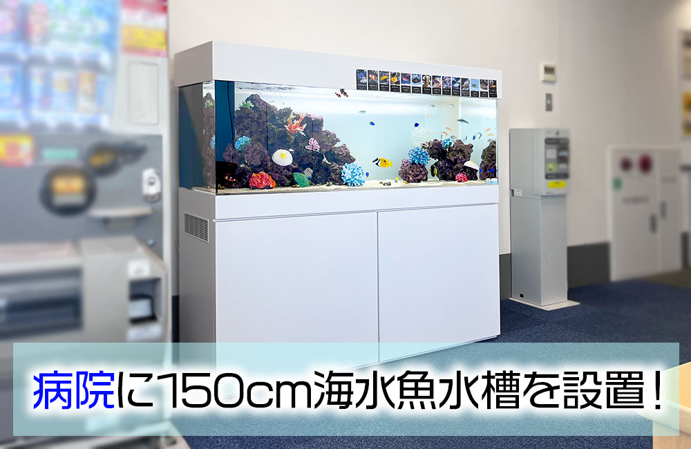 病院に150cm海水魚水槽を設置！海水魚の姿を楽しめる爽やかな水槽のサムネイル画像