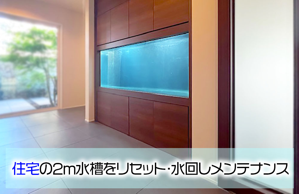 個人宅様の大型埋め込み水槽をリセット！水回しまでスポットメンテナンス メイン画像