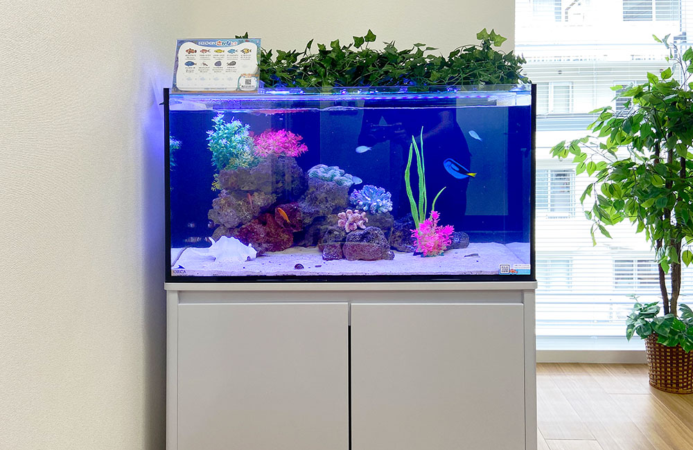白い水槽台に設置された海水魚水槽と人工水草のレイアウト