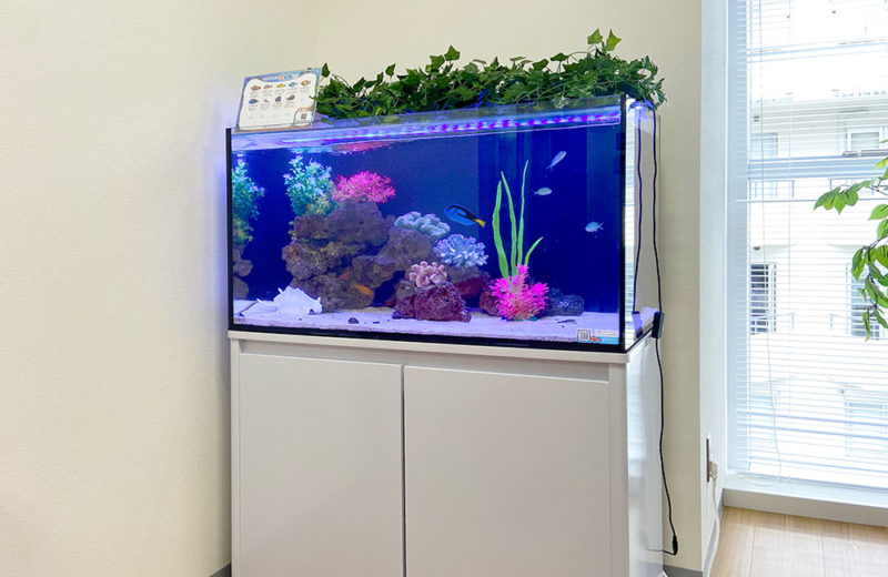 企業様にレンタルいただいている90cm海水魚水槽を移動！ 水槽画像５