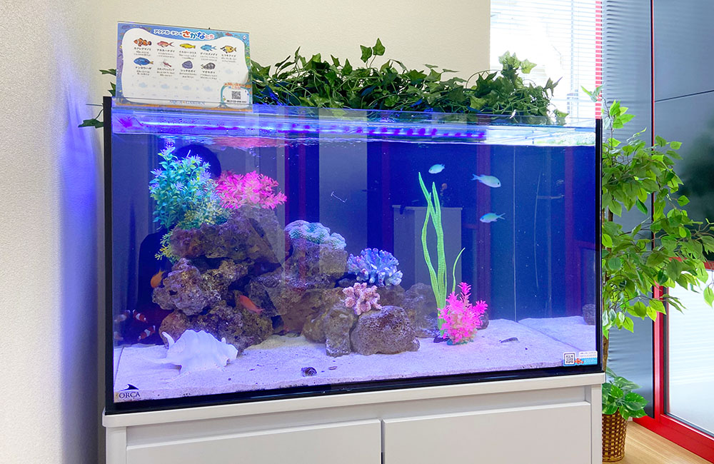 青い背景に岩と人工水草を配置した海水魚水槽の全景