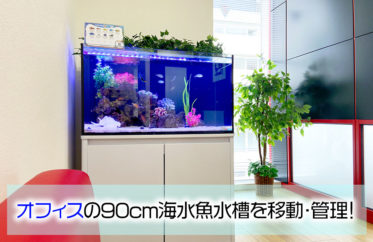 企業様にレンタルいただいている90cm海水魚水槽を移動！