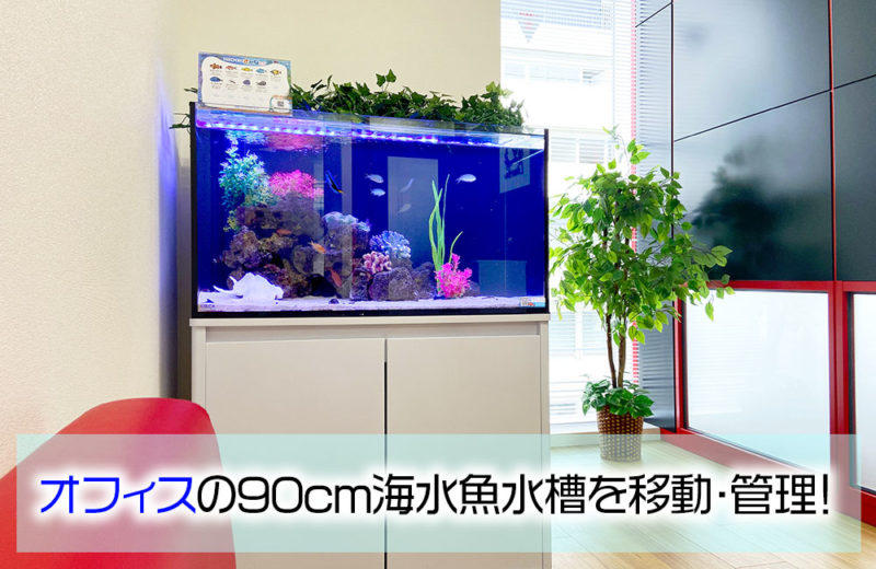 企業様にレンタルいただいている90cm海水魚水槽を移動！ 水槽画像１