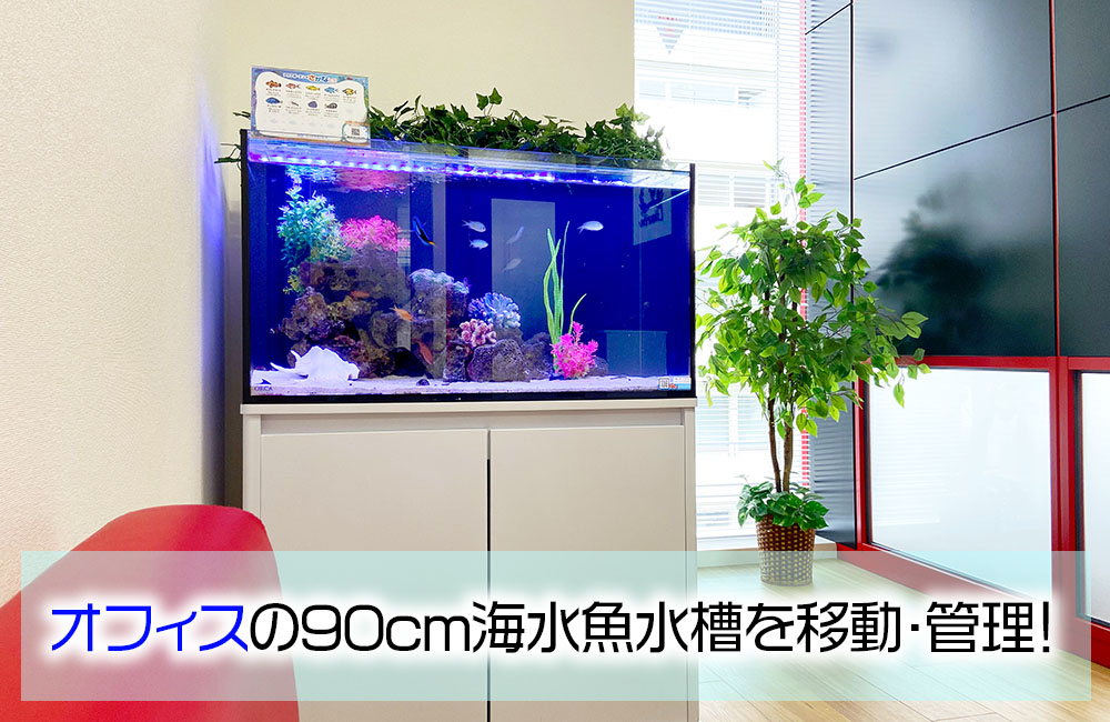 企業様にレンタルいただいている90cm海水魚水槽を移動！のサムネイル画像