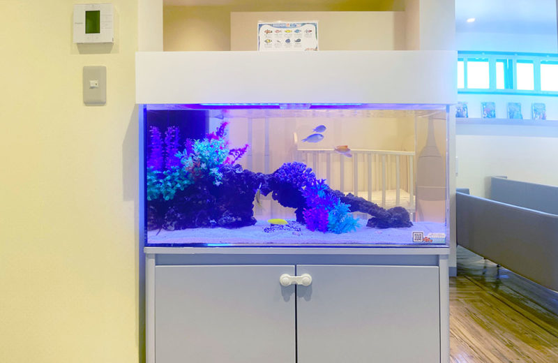 こどもクリニック様のエントランスに設置！90cm海水魚水槽 水槽画像２