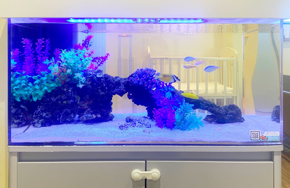 青い照明の海水魚水槽と泳ぐ熱帯魚や人工サンガのレイアウト