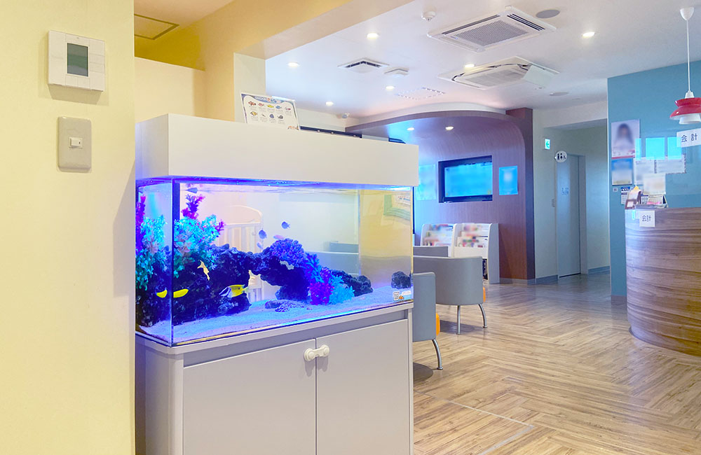 クリニック待合室に設置された海水魚水槽と白い水槽台