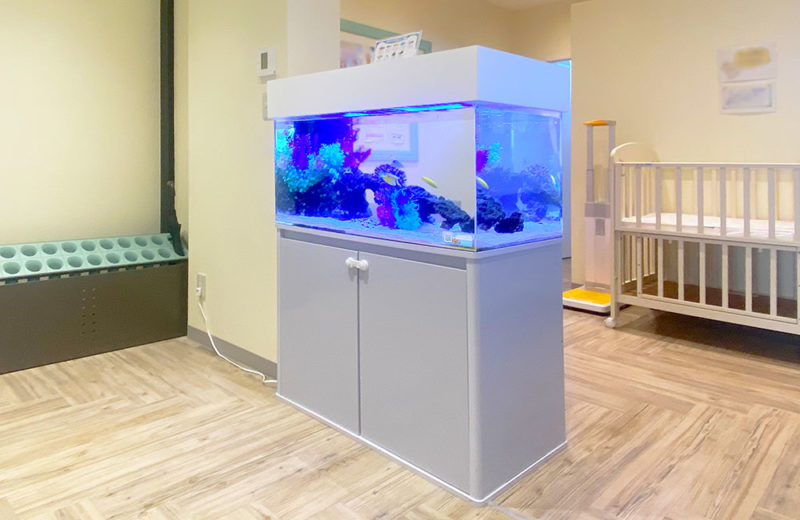 こどもクリニック様のエントランスに設置！90cm海水魚水槽 水槽画像４