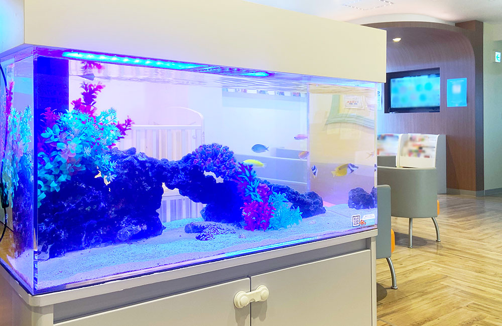 青い照明に照らされた海水魚水槽と待合室の風景