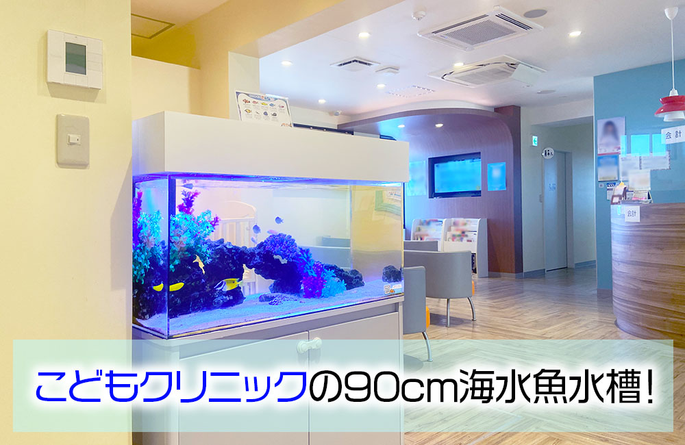 こどもクリニック様のエントランスに設置！90cm海水魚水槽 メイン画像