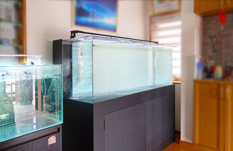 150cmの特注水槽を販売・設置!古代魚たちのかっこよさが際立つ水槽 水槽画像4