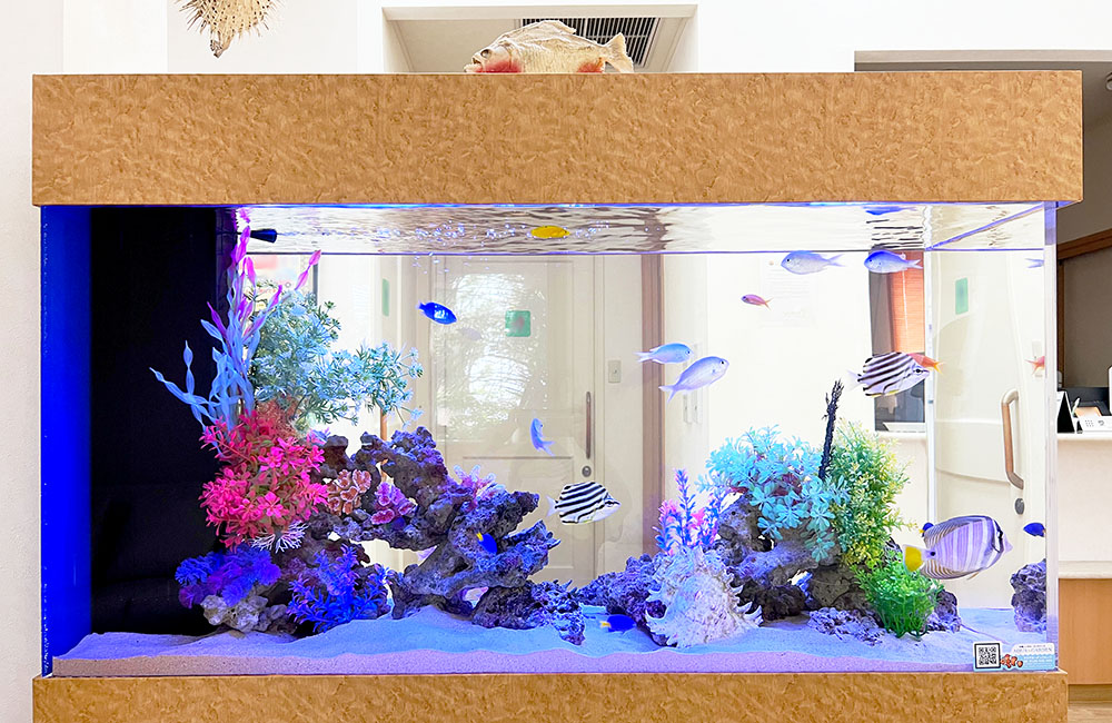 海水魚と人工サンゴが泳ぐ大型の横長水槽