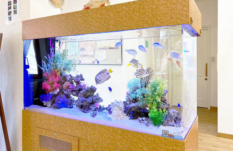 オアシス脳神経クリニック様の120cm海水魚水槽!15年目の様子 水槽画像2