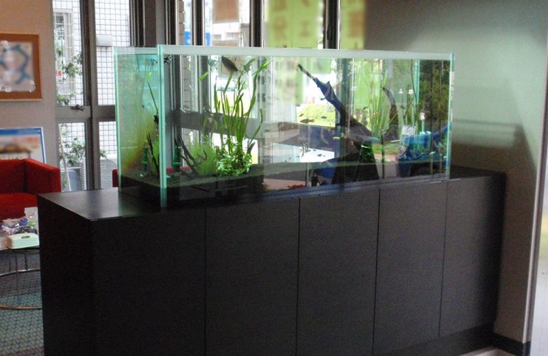 積水ハウス様 150cm淡水魚水槽 メンテナンス事例 水槽画像2