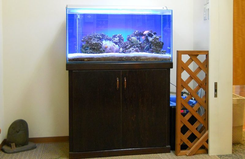 耳鼻咽喉科様 海水魚水槽を60cmから90cmにリニューアルしました 水槽画像1