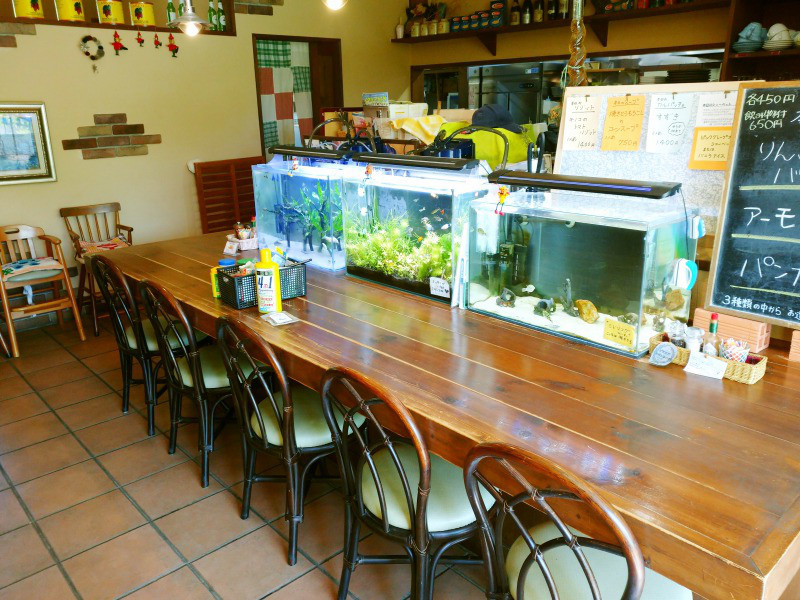 飲食店カウンターに並ぶ3台の熱帯魚水槽と木製椅子