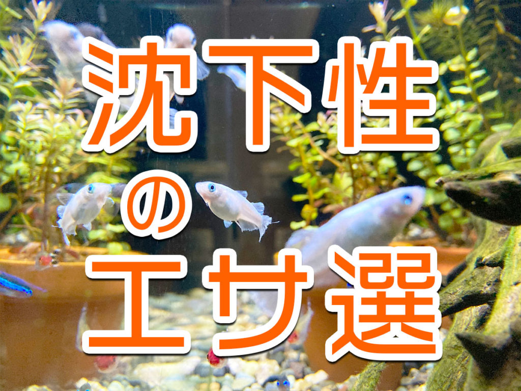 沈下性の餌10選!熱帯魚・金魚・メダカ・海水魚・エビなどが好む餌のサムネイル画像