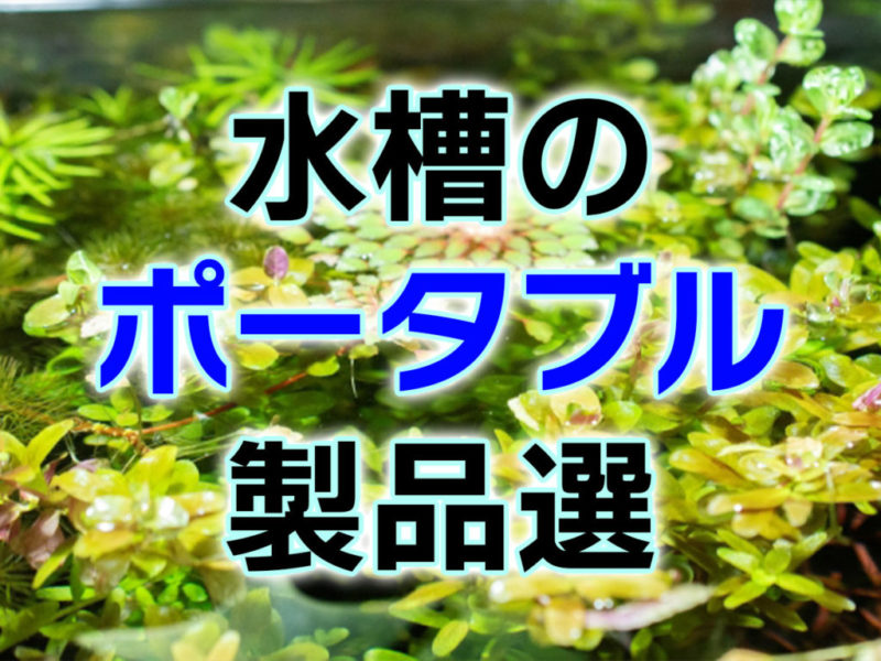 水槽のポータブル製品選の見出し画像と茂る水草