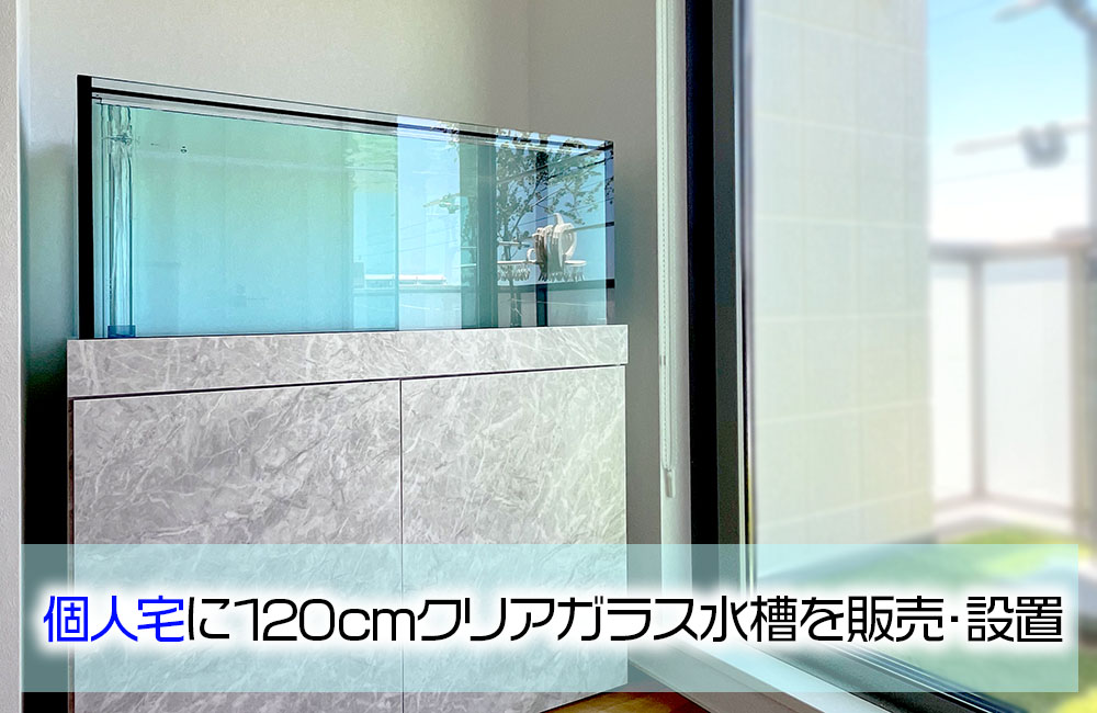 個人宅様に120cmクリアガラス水槽を販売・設置！透明感が美しい特注水槽