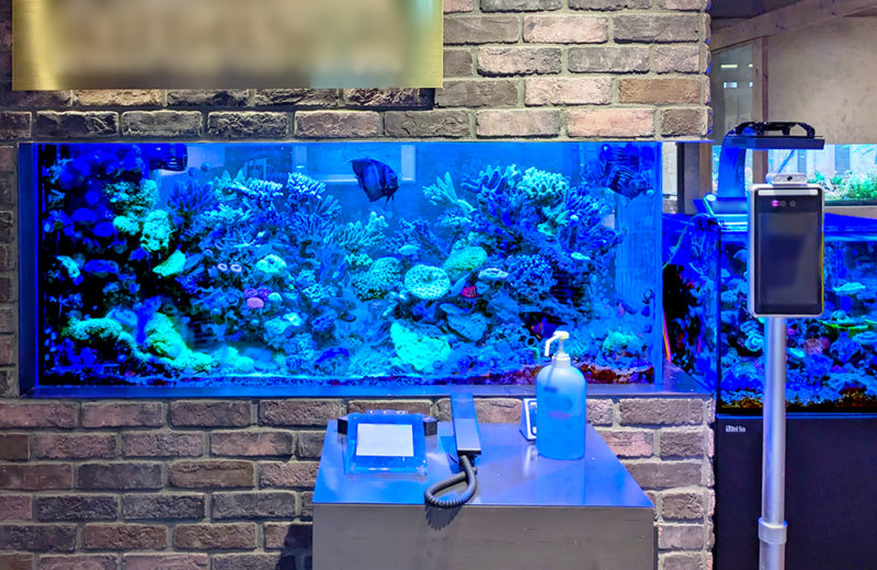 海の美しさを観賞！サンゴ水槽をレンタルしよう！インテリアとしてもおすすめ 水槽画像５