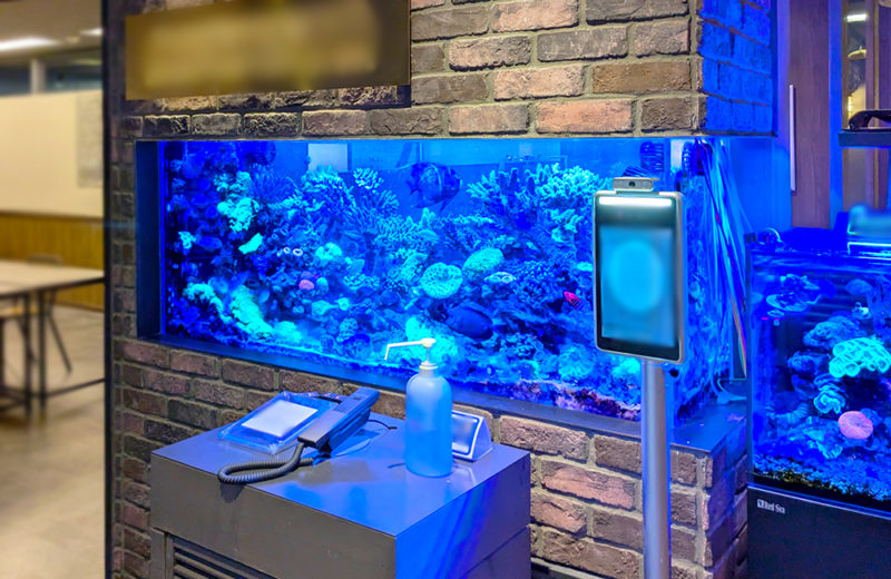 オフィスの150cmサンゴ水槽を管理!豪華なマリンアクアリウムのその後 水槽画像2