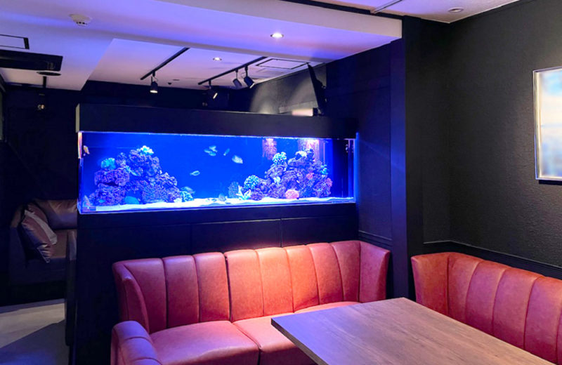飲食店様に特注水槽を販売!定期メンテナンスも行っている2mの海水魚水槽 水槽画像3