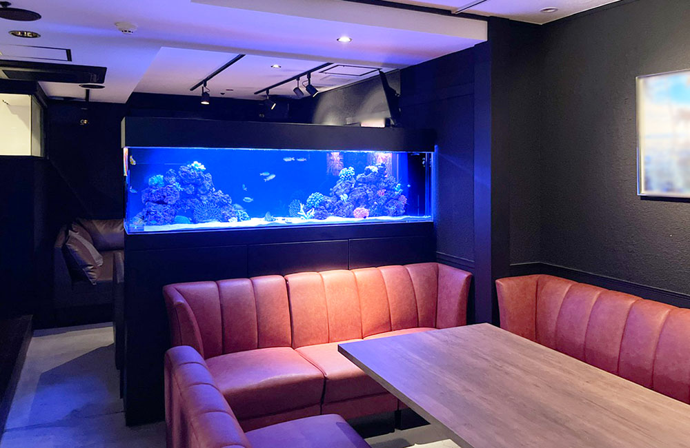 飲食店ソファ席の背面に設置された大型海水魚水槽