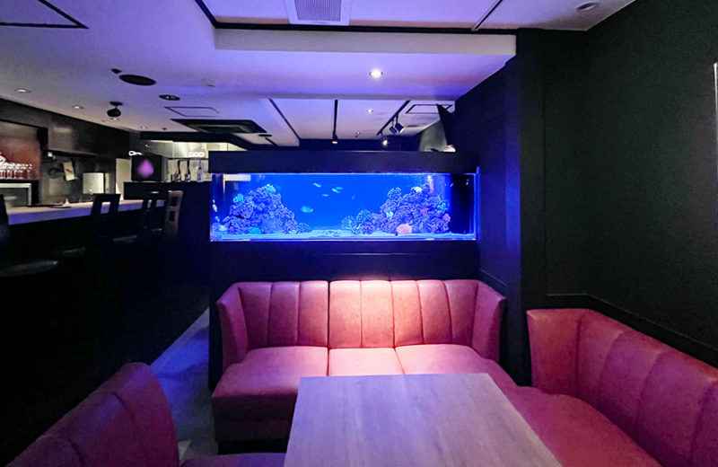 飲食店様に特注水槽を販売!定期メンテナンスも行っている2mの海水魚水槽 水槽画像2