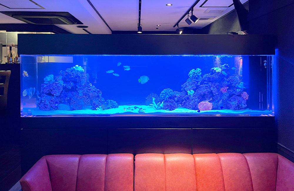 青い照明の大型海水魚水槽と赤いソファのある店内風景