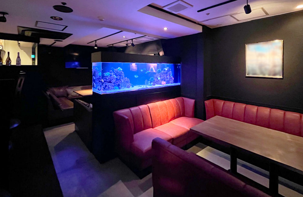 青い照明の大型海水魚水槽と赤いソファがある店内