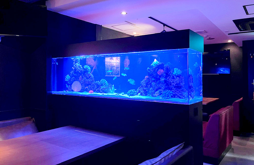 青い照明の大型海水魚水槽を設置した飲食店の店内風景