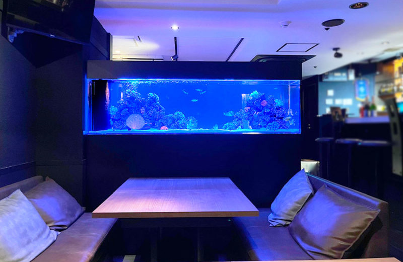 飲食店様に特注水槽を販売!定期メンテナンスも行っている2mの海水魚水槽 水槽画像4