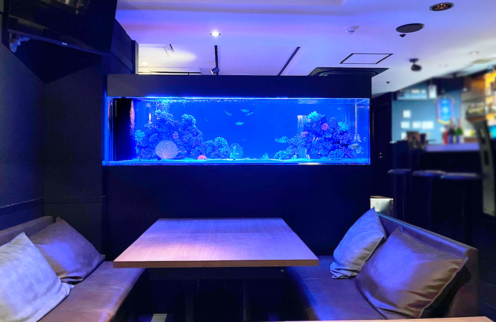 青い照明の大型海水魚水槽がある飲食店のソファ席