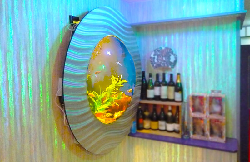 飲食店様の円形水槽!シクリッドが泳ぐ特殊水槽をメンテナンス 水槽画像4