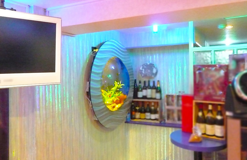 飲食店様の円形水槽!シクリッドが泳ぐ特殊水槽をメンテナンス 水槽画像5