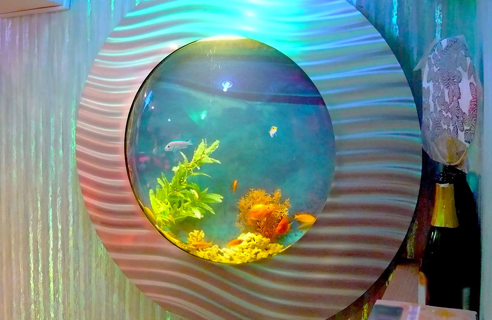 波紋状の装飾がある円形水槽と泳ぐ熱帯魚たち