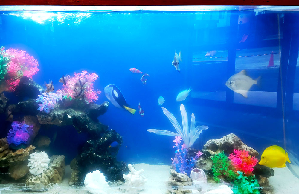 海水魚と人工水草が泳ぐ青い背景のサンゴ水槽