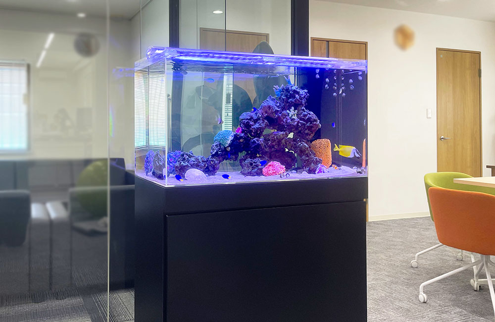 オフィスに設置された海水魚水槽と青い照明のレイアウト