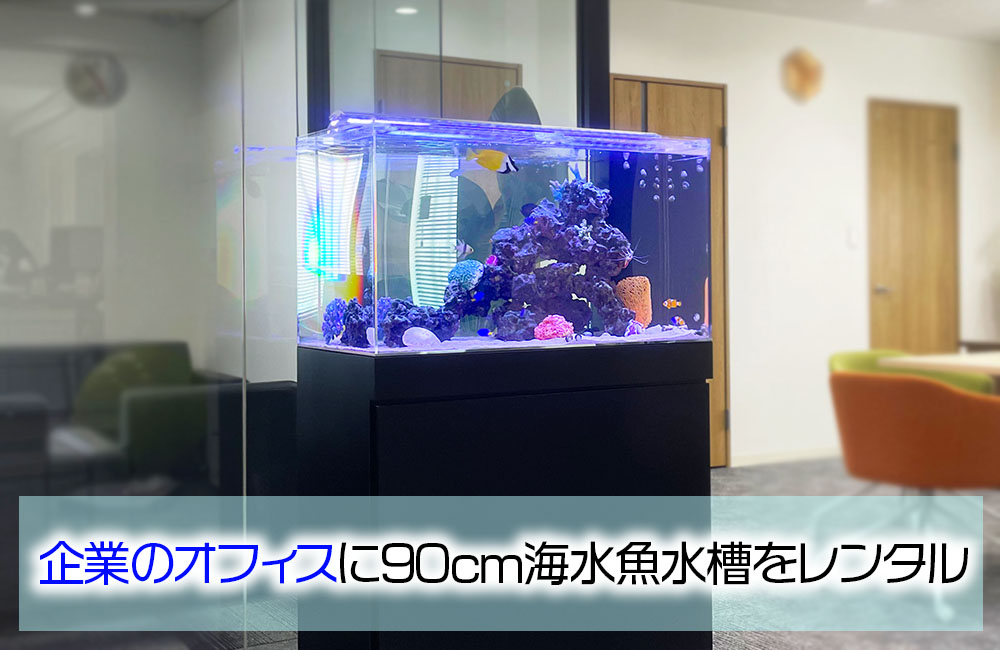 企業様のオフィスに水槽レンタル！透明感のある90cm海水魚水槽のサムネイル画像