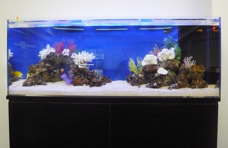 企業様 オフィス内に設置 150cm海水魚水槽レンタル事例 水槽画像2