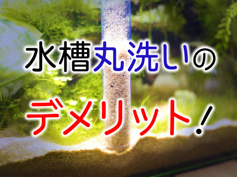 水槽丸洗いのデメリット!と書かれた見出し画像