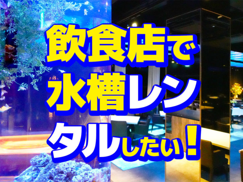 飲食店で水槽レンタルしたい!の文字入り見出し画像