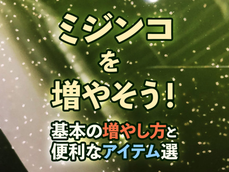 ミジンコを増やそう!基本の増やし方と便利アイテムの見出し画像