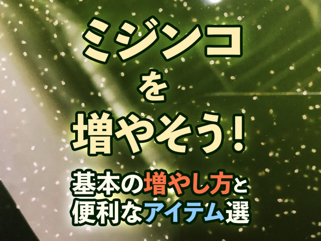 ミジンコを増やしたい！基本の増やし方とミジンコを増やすアイテム7選のサムネイル画像