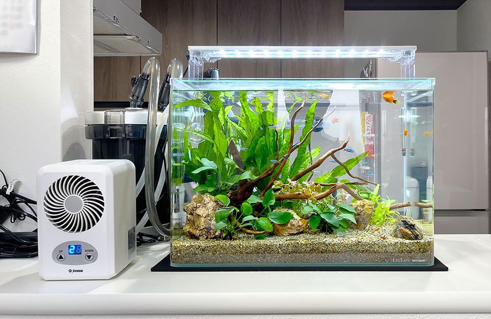 水槽用クーラーと水草や流木を配置した淡水魚水槽