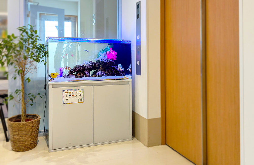 エレベーター横に設置された海水魚水槽と観葉植物